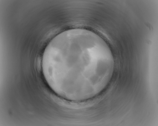 X0000113300022200910131056
