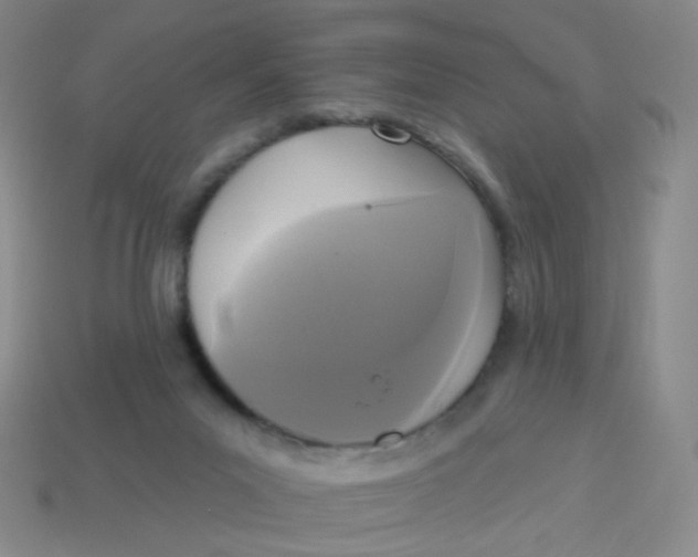 X0000113300023200910131056