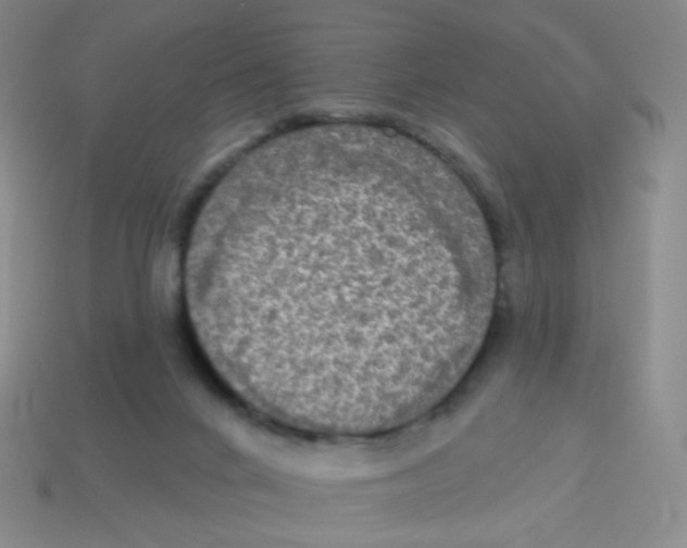 X0000113300024200910131056