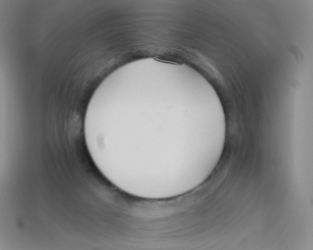 X0000113300025200910131056