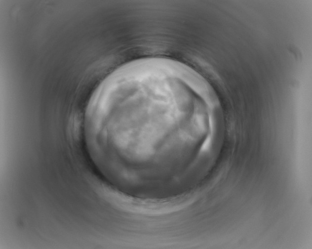 X0000113300026200910131056