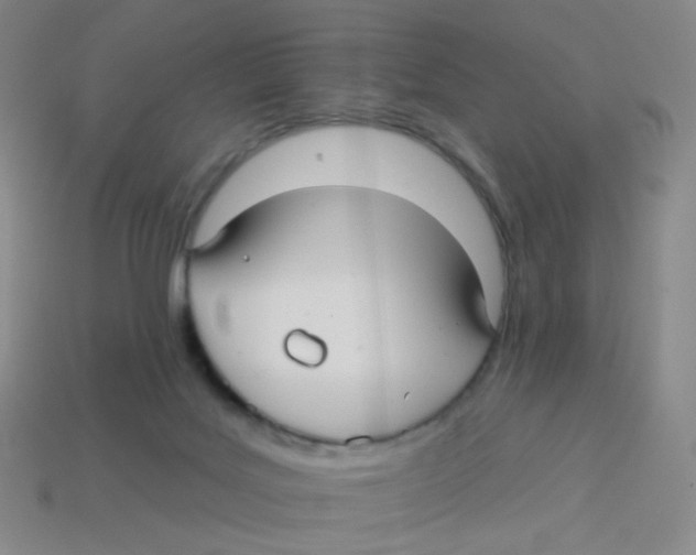 X0000113300027200910131056