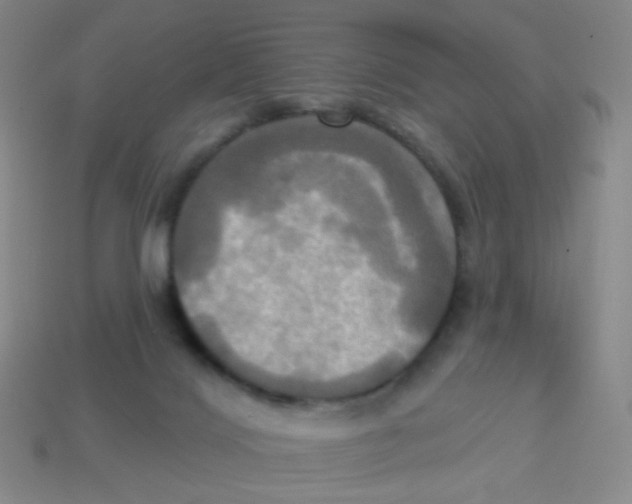 X0000113300028200910131056