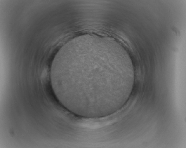 X0000113300029200910131056