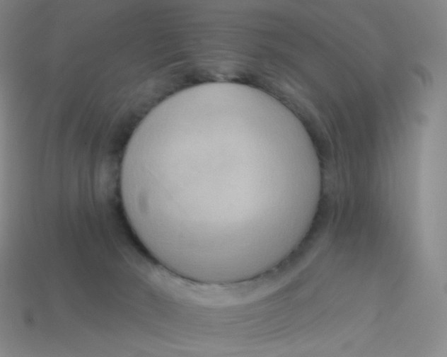 X0000113300030200910131056
