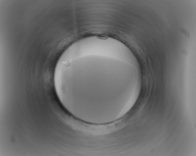 X0000113300031200910131056