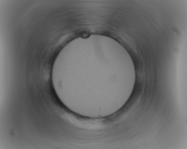 X0000113300032200910131056
