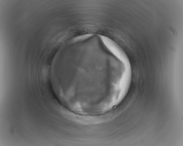 X0000113300034200910131056