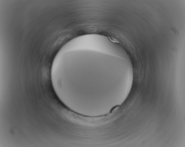 X0000113300035200910131056
