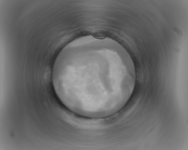 X0000113300036200910131056