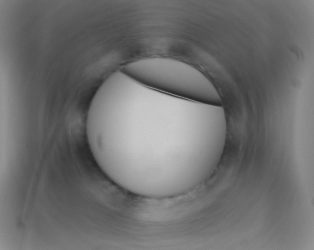 X0000113300037200910131056