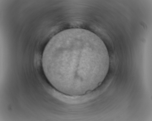 X0000113300038200910131056