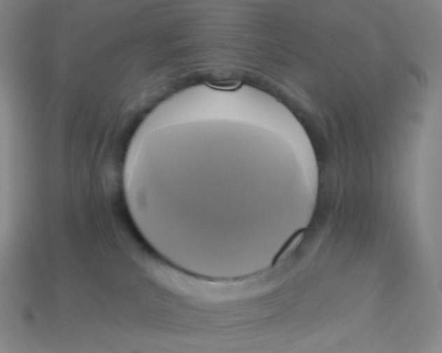 X0000113300039200910131056
