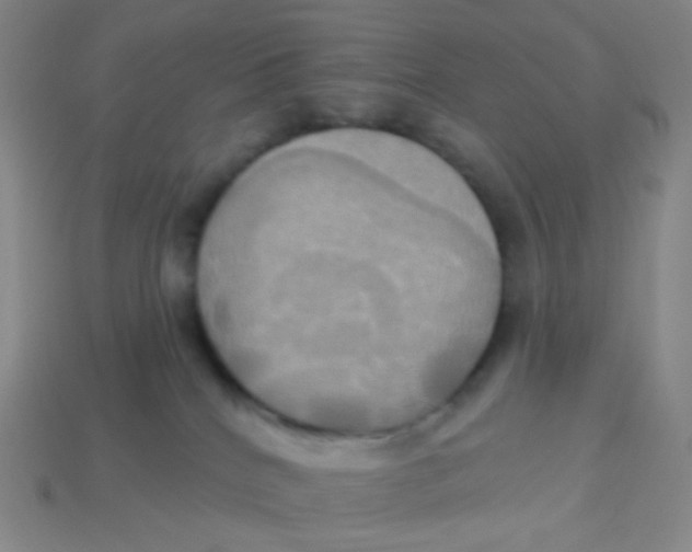 X0000113300040200910131056