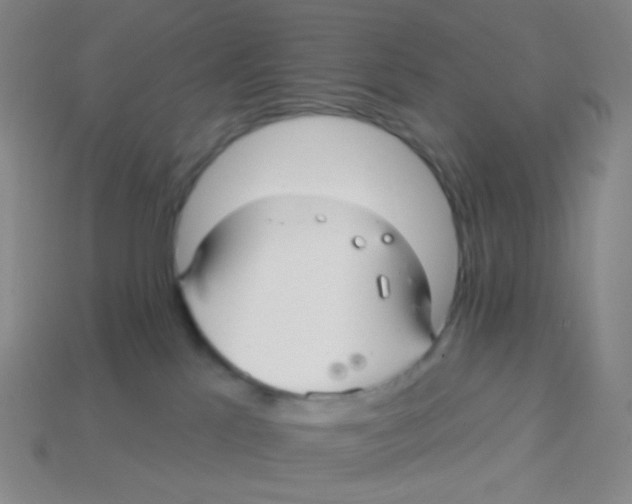 X0000113300041200910131056