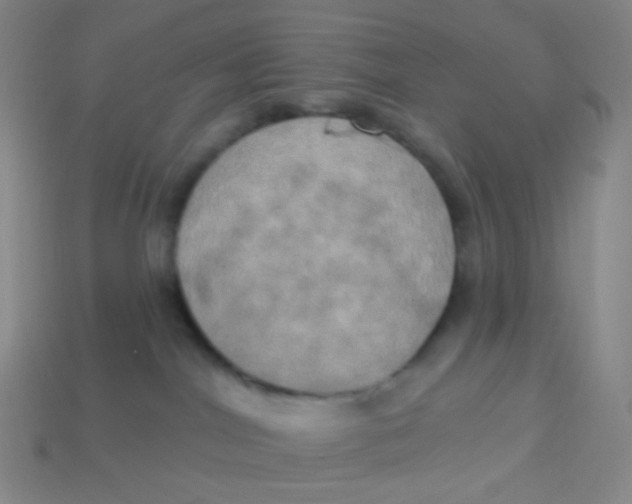 X0000113300044200910131056