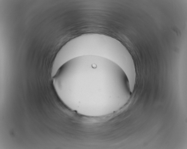 X0000113300045200910131056