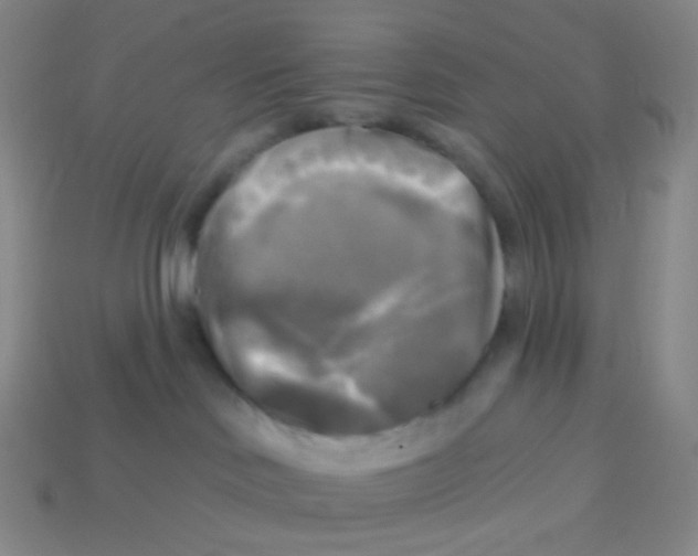 X0000113300046200910131056