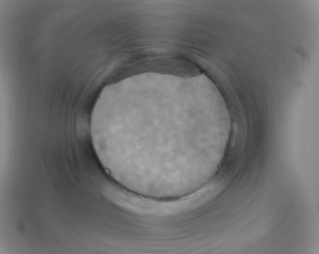X0000113300048200910131056