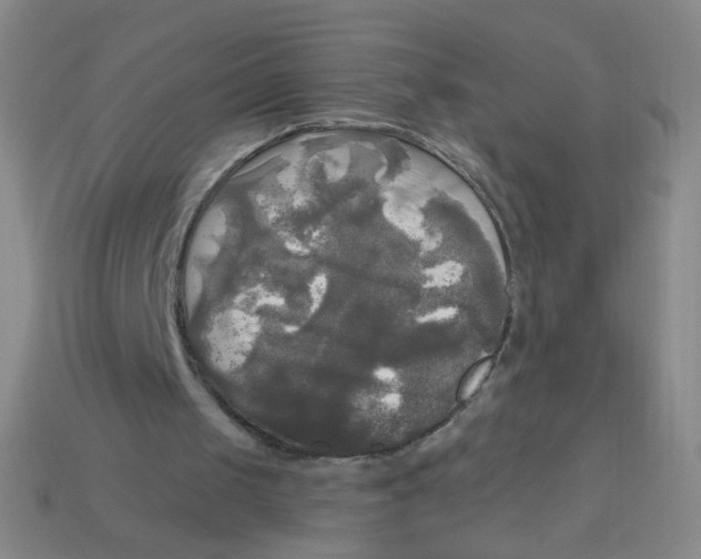 X0000113300049200910131055