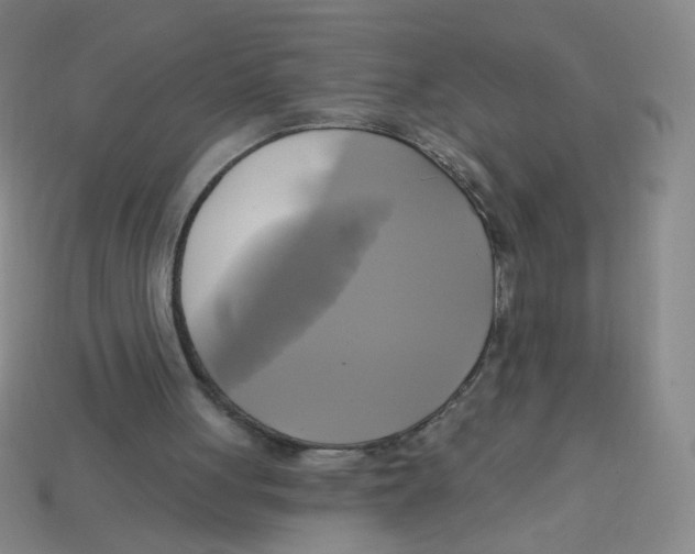 X0000113300051200910131055