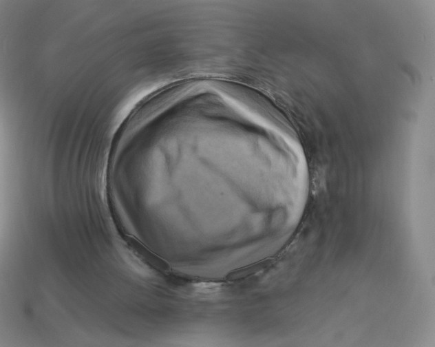 X0000113300052200910131055