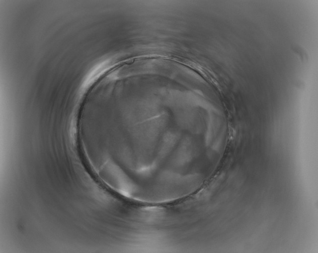 X0000113300053200910131055