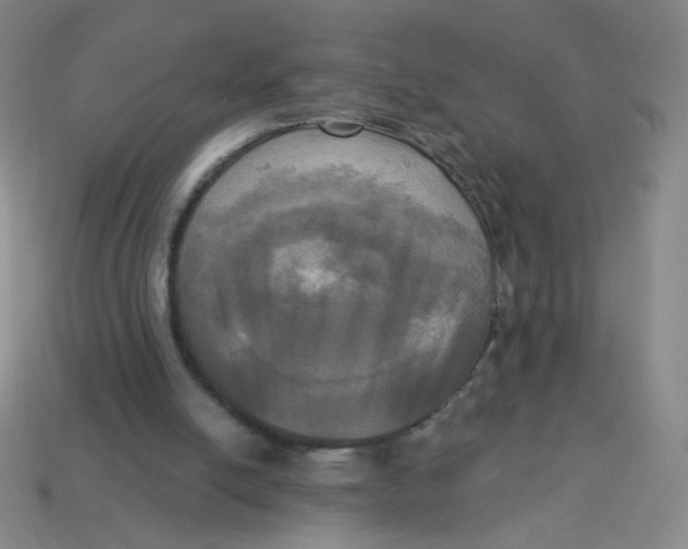 X0000113300054200910131055