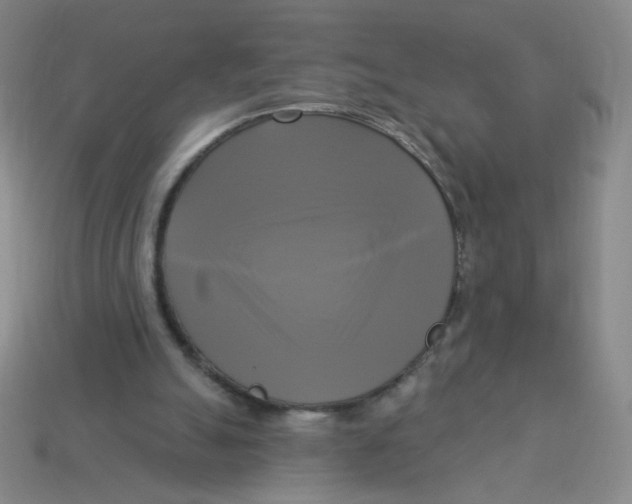 X0000113300055200910131055