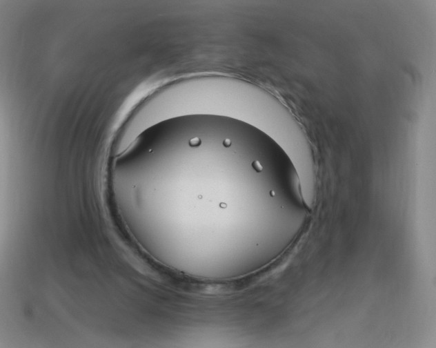 X0000113300056200910131055