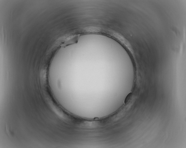 X0000113300057200910131055
