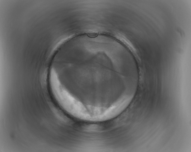 X0000113300058200910131055