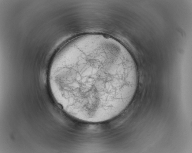 X0000113300060200910131056