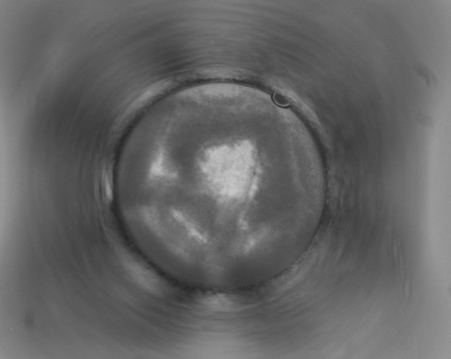 X0000113300062200910131056