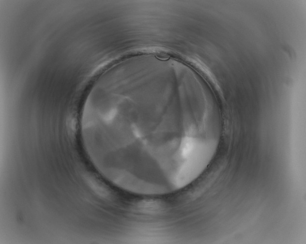 X0000113300063200910131056