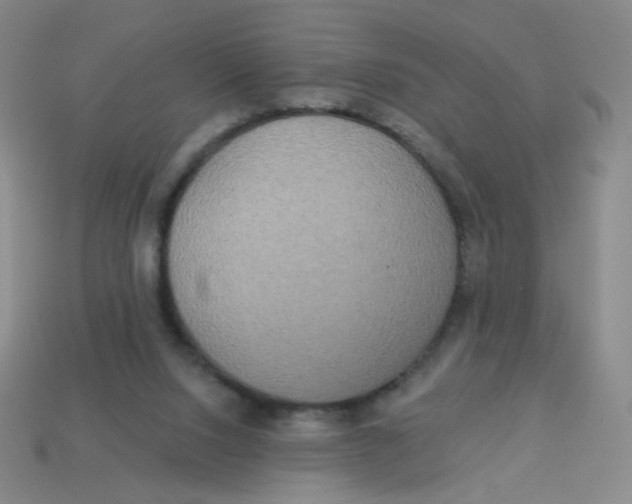 X0000113300064200910131056
