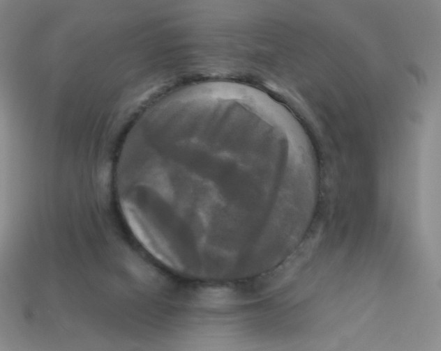 X0000113300066200910131056