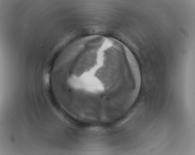 X0000113300067200910131056