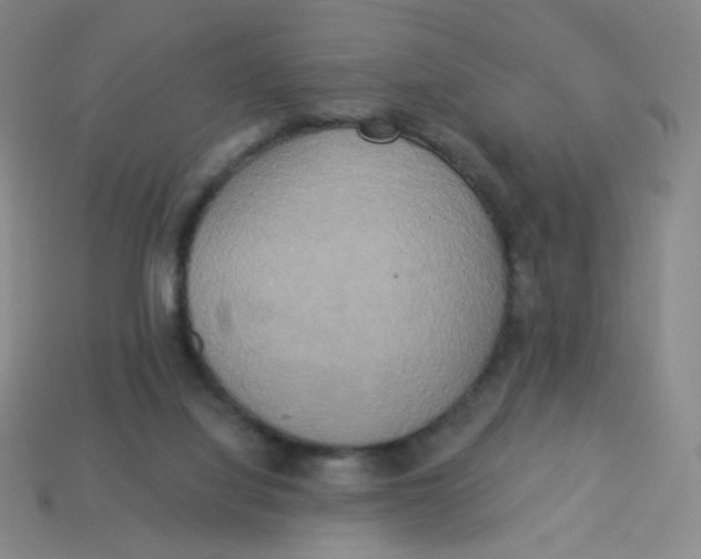 X0000113300068200910131056