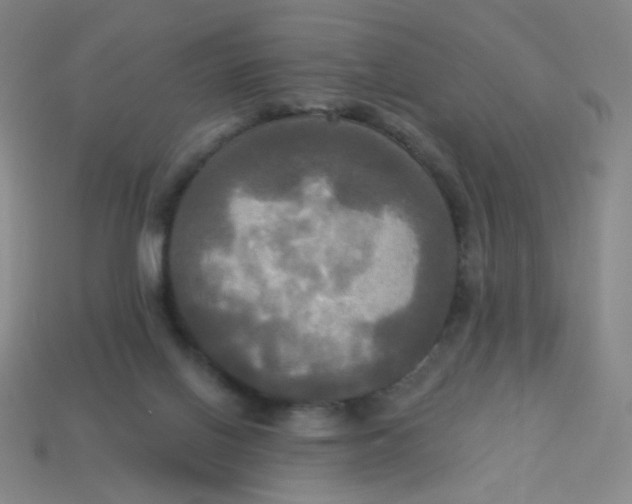X0000113300070200910131056