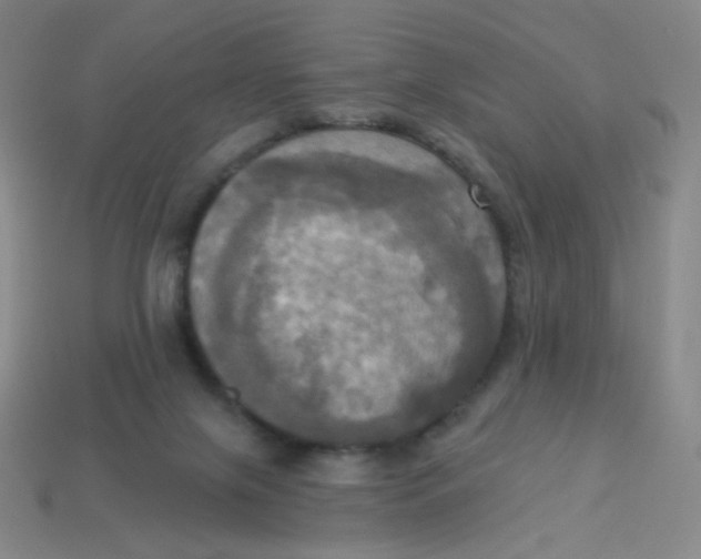 X0000113300071200910131056
