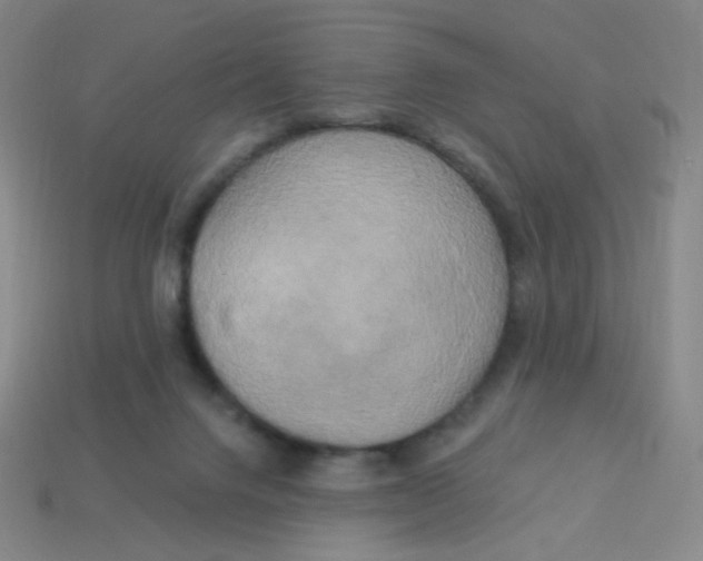 X0000113300072200910131056