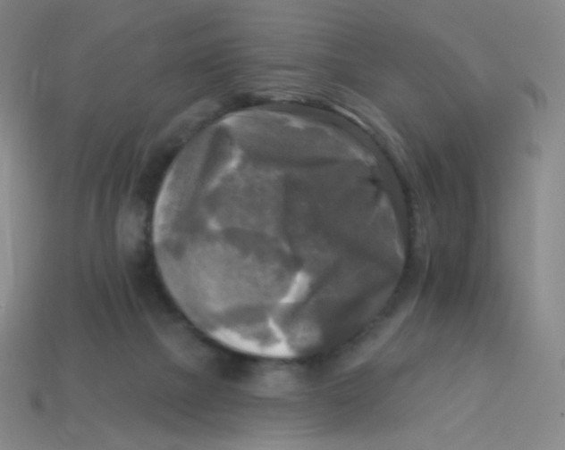 X0000113300073200910131056