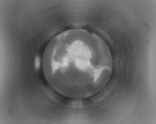 X0000113300075200910131056