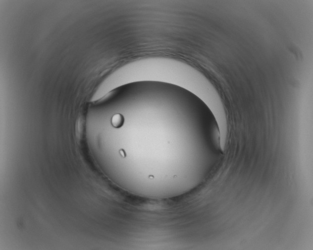 X0000113300076200910131056