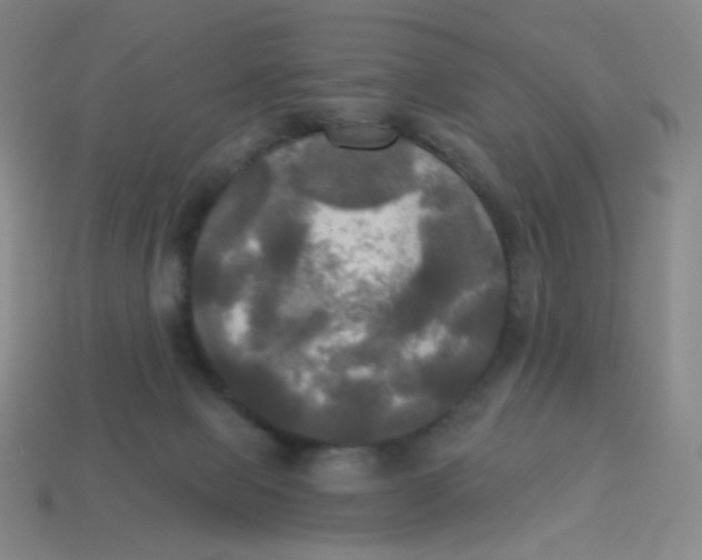 X0000113300077200910131056