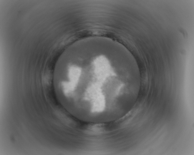 X0000113300078200910131056