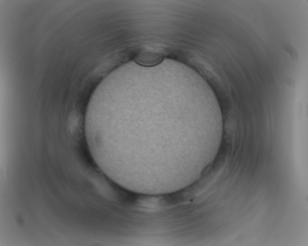 X0000113300079200910131056