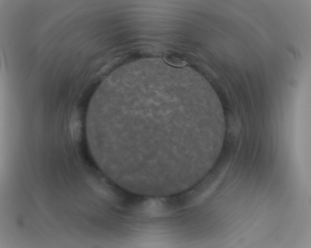 X0000113300080200910131056