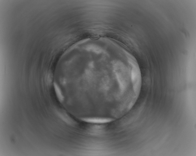 X0000113300081200910131056